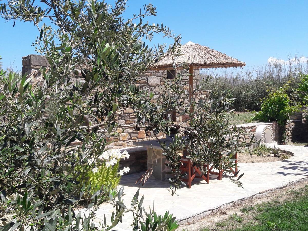Elpidas Studios Agia Anna  外观 照片