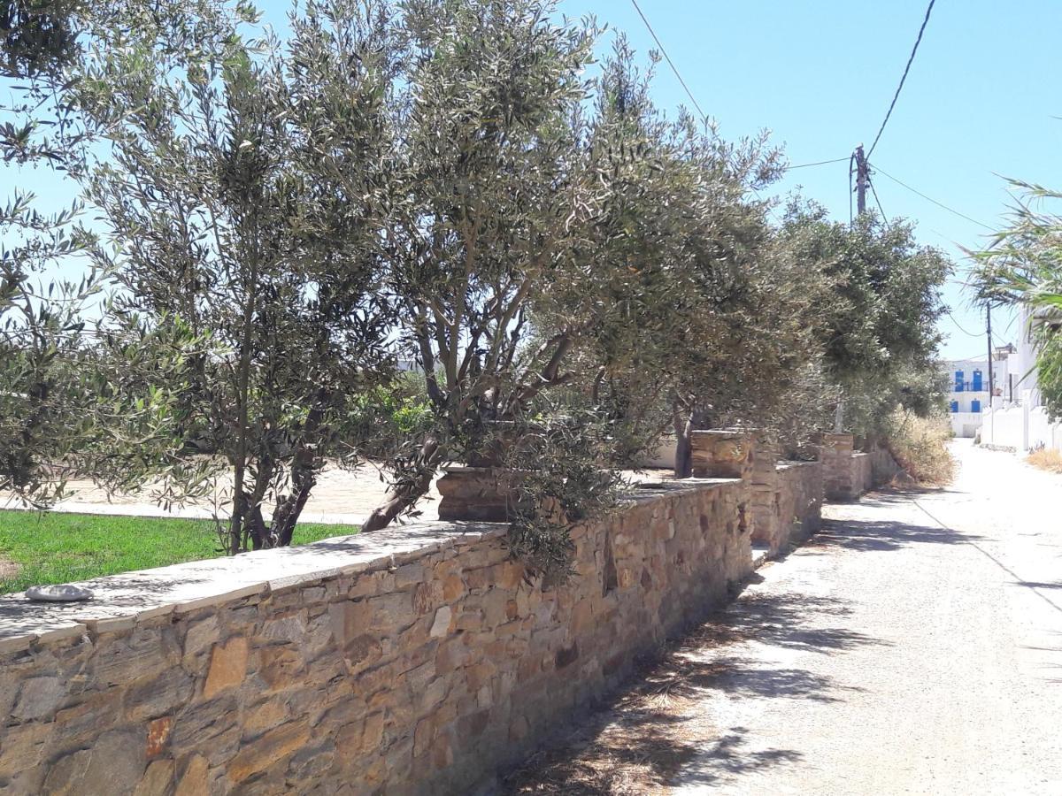 Elpidas Studios Agia Anna  外观 照片