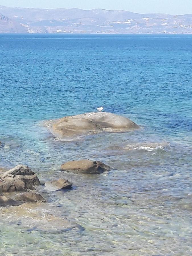 Elpidas Studios Agia Anna  外观 照片