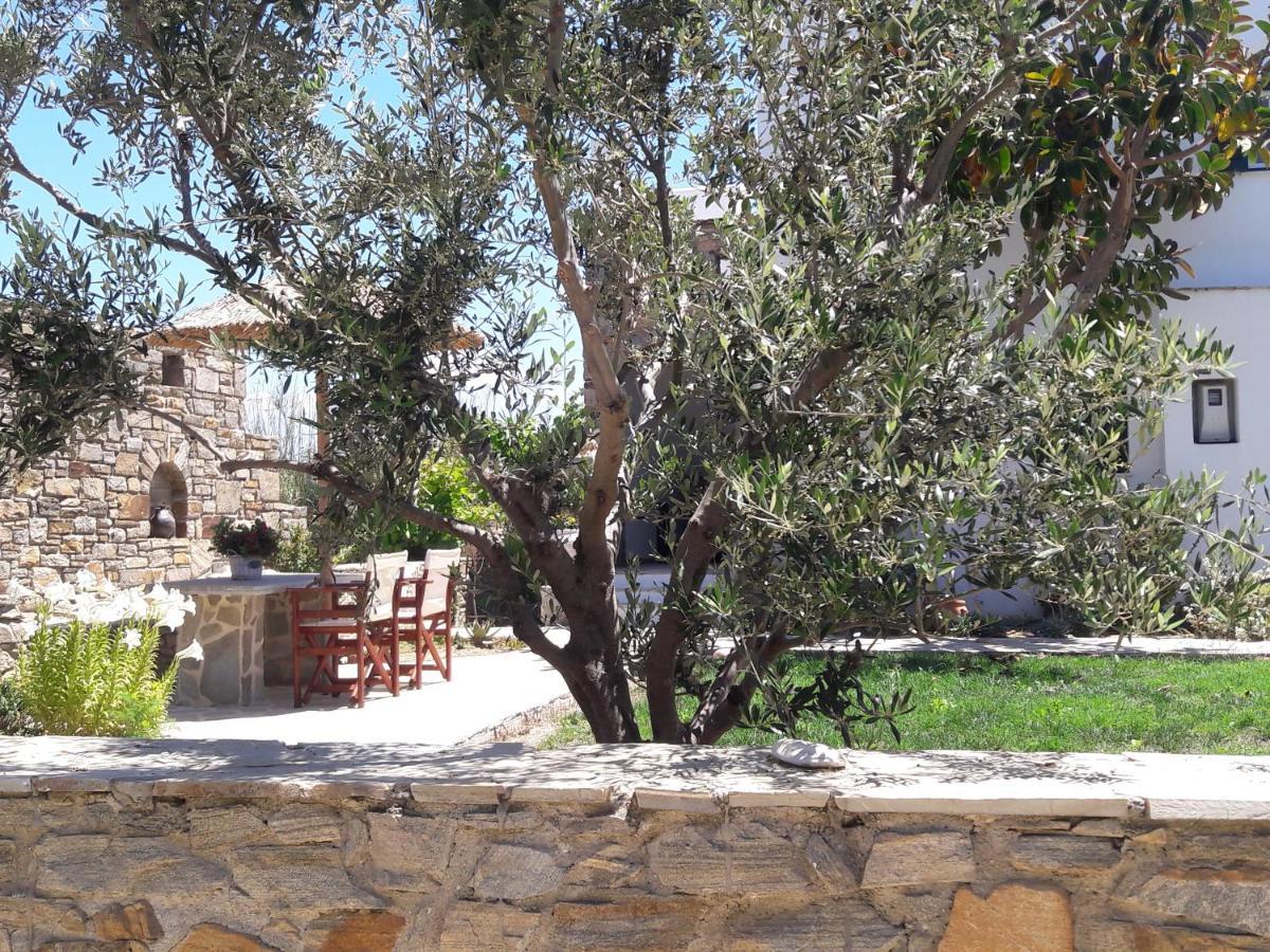 Elpidas Studios Agia Anna  外观 照片